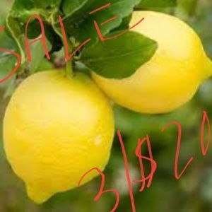🍋3/$20🍋items with lemon 🍋 bundle